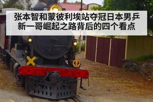 张本智和蒙彼利埃站夺冠日本男乒新一哥崛起之路背后的四个看点